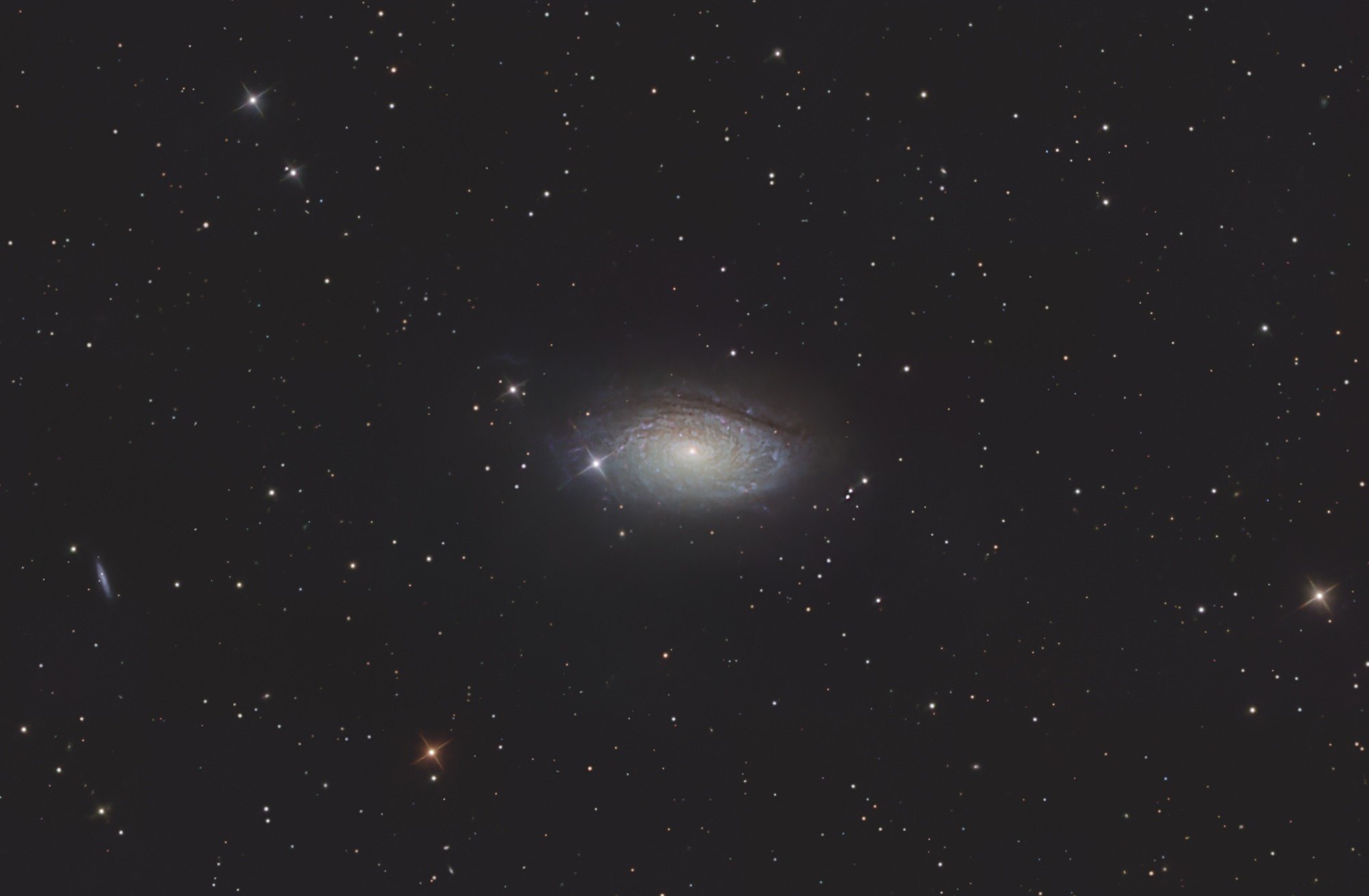 Die Sonnenblumen-Galaxie Messier 63 ist eine Spiralgalaxie  im Sternbild Jagdhunde am Nordsternhimmel und besitzt einen Durchmesser von ca. 50.000 Lichtjahren. Ungewöhnlich und namensgebend sind die vielen, gut sichtbaren, knötchenartigen Verdichtungen in ihren Spiralarmen. Es handelt sich dabei um Sternentstehungsgebiete und leuchtende Gaswolken.